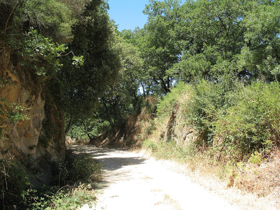 Il tracciato della linea oggi, una trincea scavata nella roccia tra i boschi della Ficuzza